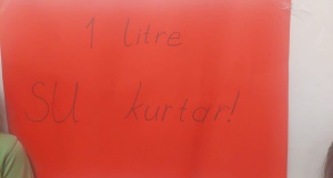 29-03-2025